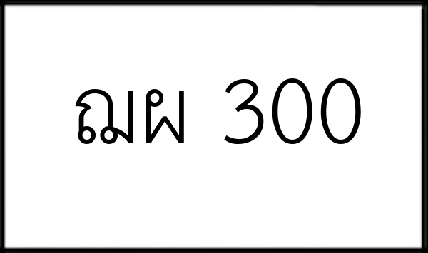 ฌผ 300